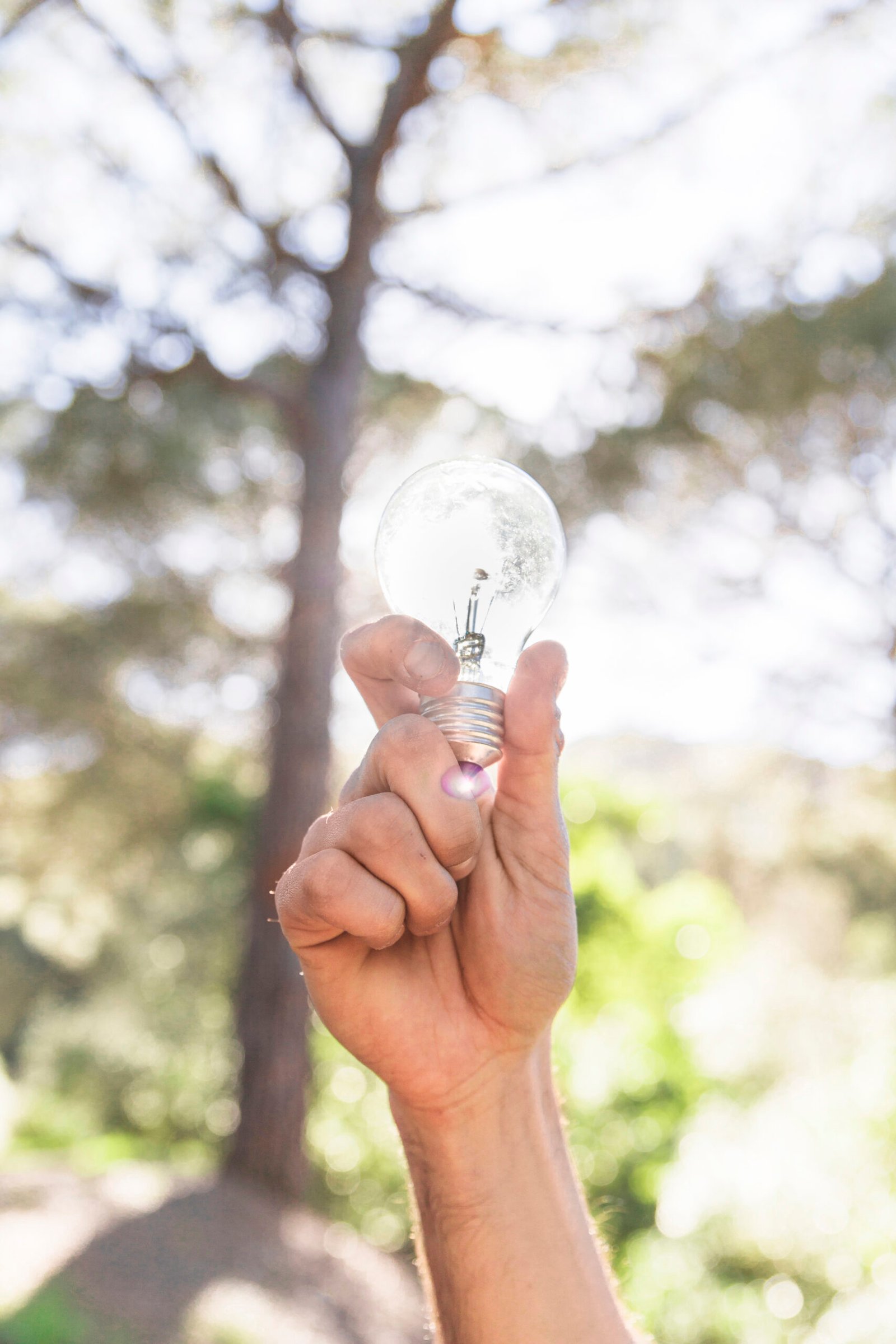 concept-hand-holding-glass-bulb